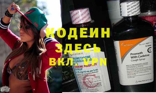 ГАЛЛЮЦИНОГЕННЫЕ ГРИБЫ Алзамай