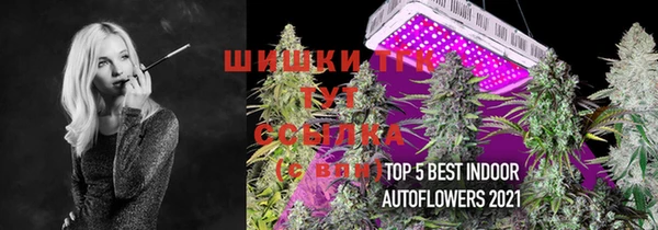 ГАЛЛЮЦИНОГЕННЫЕ ГРИБЫ Алзамай