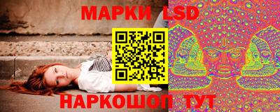 ПСИЛОЦИБИНОВЫЕ ГРИБЫ Дмитров