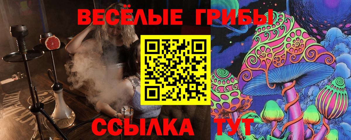 Псилоцибиновые грибы мухоморы Ярцево